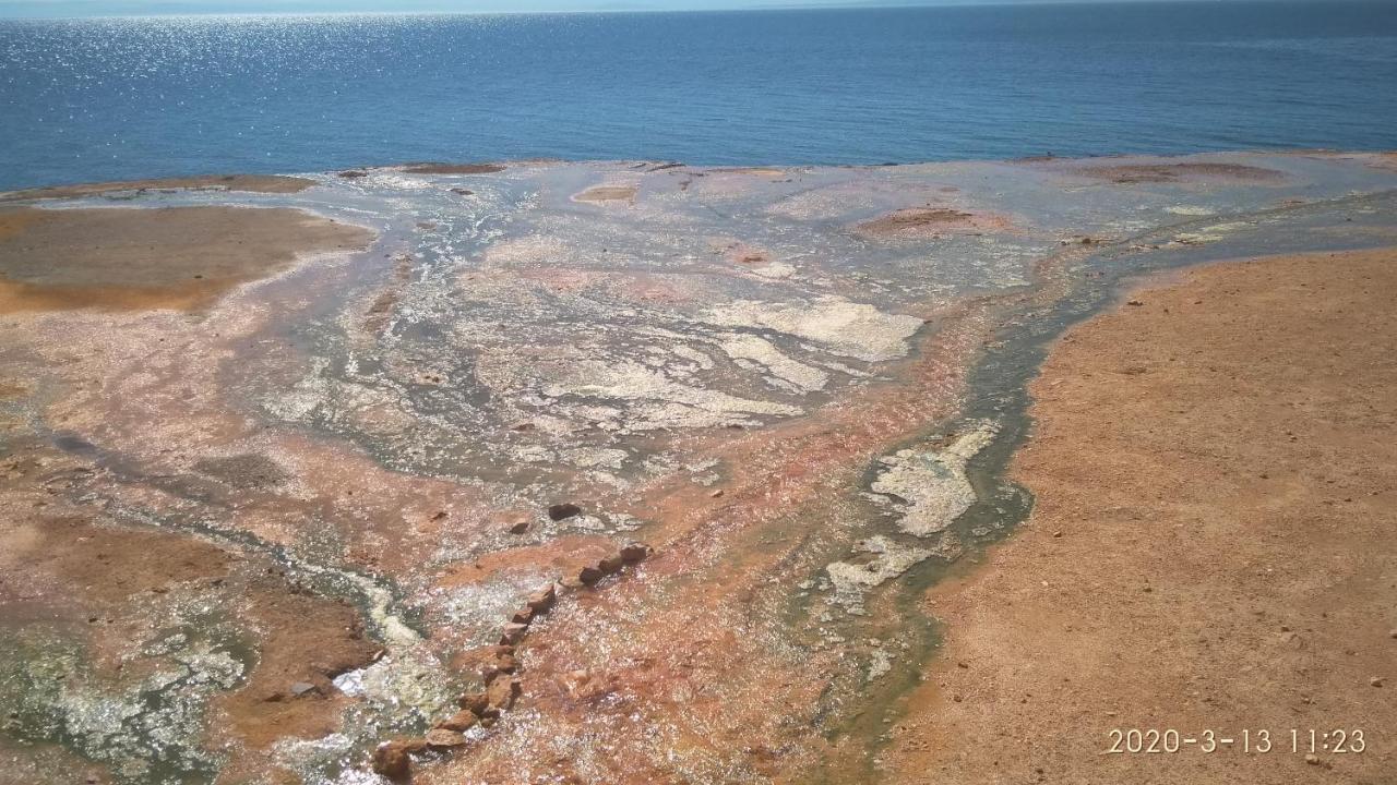 Palatino Hotel Loutra Edipsou  Bagian luar foto