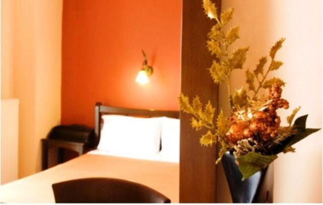 Palatino Hotel Loutra Edipsou  Bagian luar foto